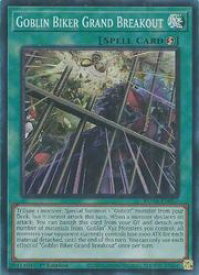 card503393-series374158-rarity540535