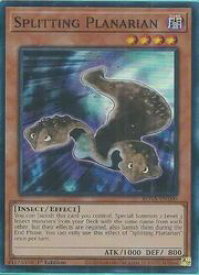 card503484-series374158-rarity540535