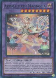 card504043-series375015-rarity540535