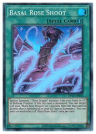 card501914-series377817-rarity540535