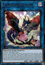 card501920-series373135-rarity540536