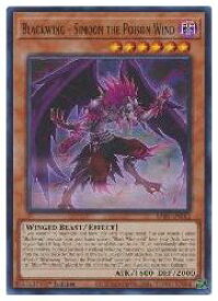 card_501932_series_373117_rarity_540535_