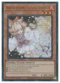 card_502108_series_373117_rarity_540535_