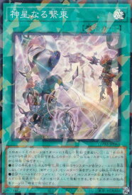 card513675-series384175-rarity183