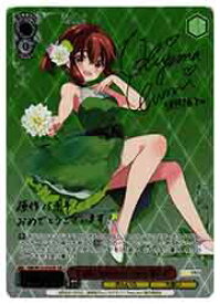 card516082-series386853-rarity557254