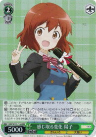 card_516208_series_387099_rarity_557086_