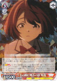 card519143-series390039-rarity557285