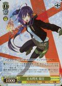 card523913-series395000-rarity557104