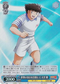 card524635-series395705-rarity557104