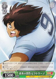 card_524715_series_395705_rarity_557246_