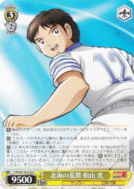 card_524773_series_395705_rarity_557246_