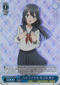 card527716-series398852-rarity557104