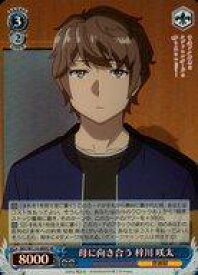 card527722-series398852-rarity557104