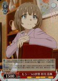 card527780-series398852-rarity557104