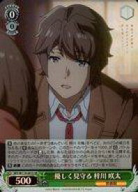 card527832-series398852-rarity557104