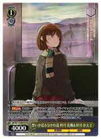 card527866-series398852-rarity569191