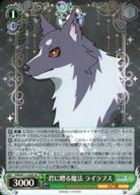 card529585-series400676-rarity557104