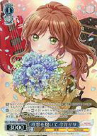 card530779-series401980-rarity561328