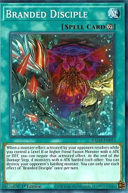 card537065-series408513-rarity540534