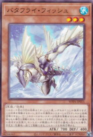 card20872-series58777-rarity1