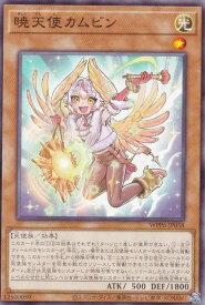 card20875-series58777-rarity1