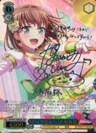 card559586-series431518-rarity557254