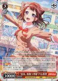 card559766-series431806-rarity557066