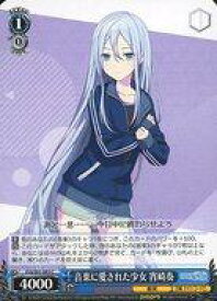 card559779-series431802-rarity557243