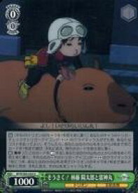 card561816-series433780-rarity557246