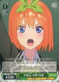 card562822-series434795-rarity557246