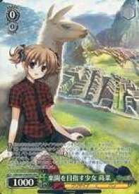 card562898-series435006-rarity569191