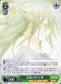 card563929-series436046-rarity557243