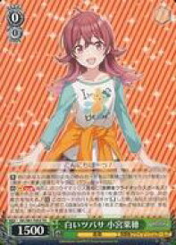 card564930-series437063-rarity557066