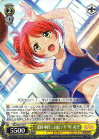 card569566-series441714-rarity557246