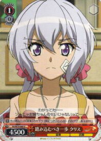 card569950-series442188-rarity557246