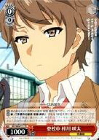 card572170-series444527-rarity557066