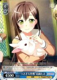 card572238-series444553-rarity557243