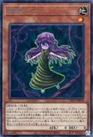 card2786-series6226-rarity62