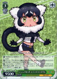 card576894-series449332-rarity621832