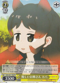 card576931-series449484-rarity557066