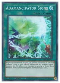 card585557-series373126-rarity540535