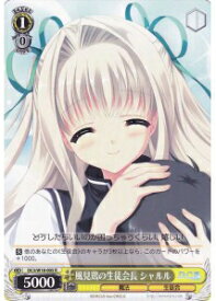 card588888-series461652-rarity557285