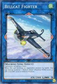 card590009-series377251-rarity540534