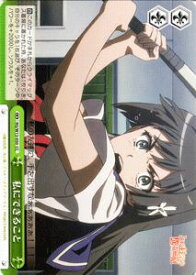 card590644-series463506-rarity557252