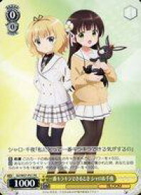 card596213-series469259-rarity557136