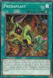 card599504-series474497-rarity540534