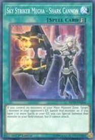 card599962-series378503-rarity540534