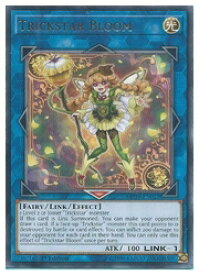 card600116-series378503-rarity540551