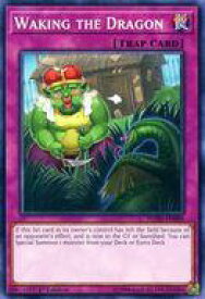 card600135-series378504-rarity540534