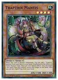 card601775-series477494-rarity540535